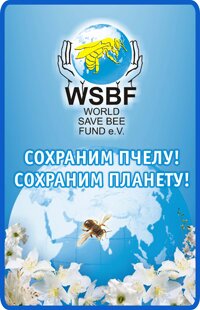 баннер WSBF e.V.